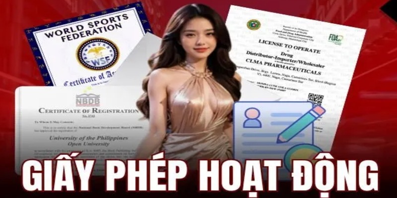 giấy phép hoạt động vz88 là gì