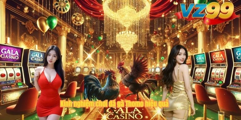 Kinh nghiệm chơi đá gà Thomo hiệu quả