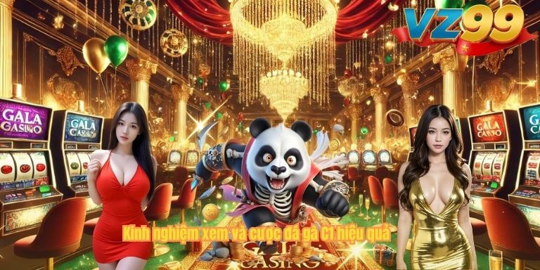 Kinh nghiệm xem và cược đá gà C1 hiệu quả