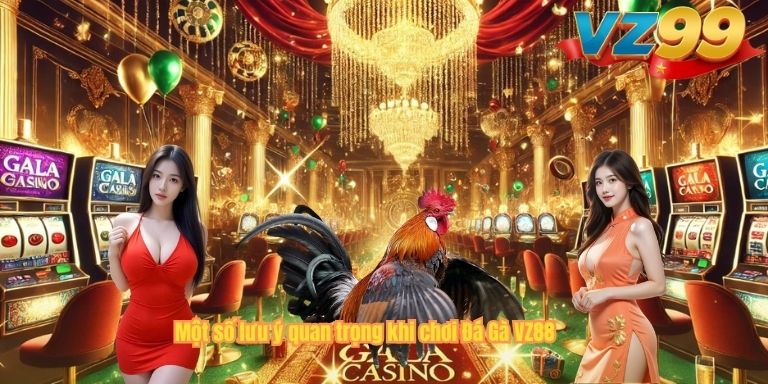 Một số lưu ý quan trọng khi chơi Đá Gà VZ88